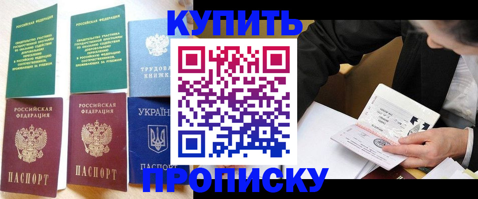 прописка для школы в Дубне